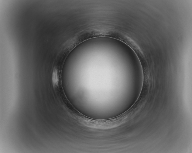 X0000116660026200912141329