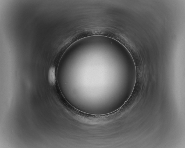 X0000116660028200912141329