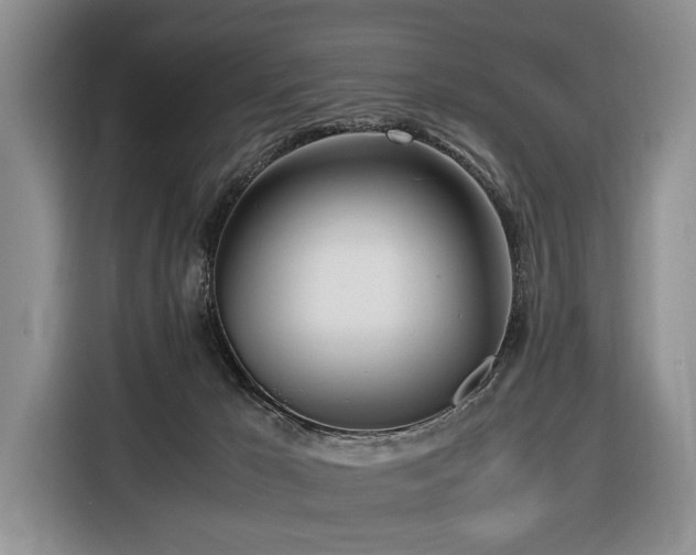 X0000116660029200912141329