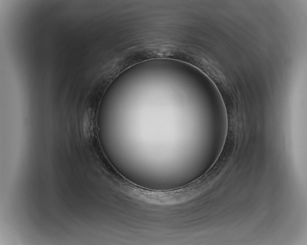 X0000116660030200912141329