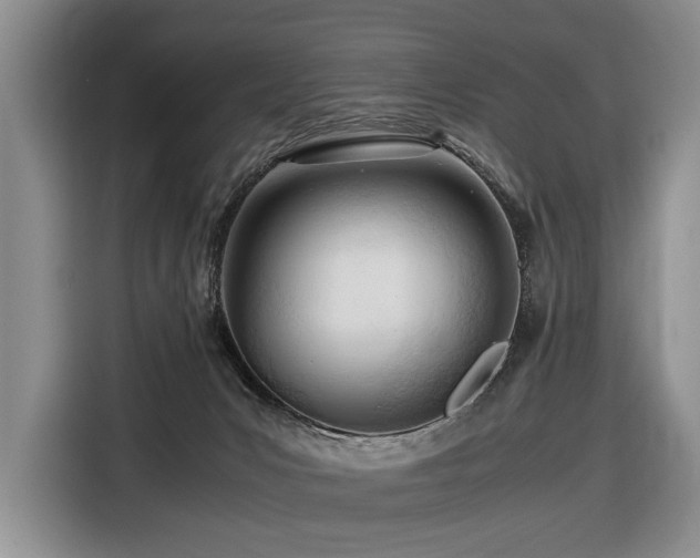 X0000116660031200912141329