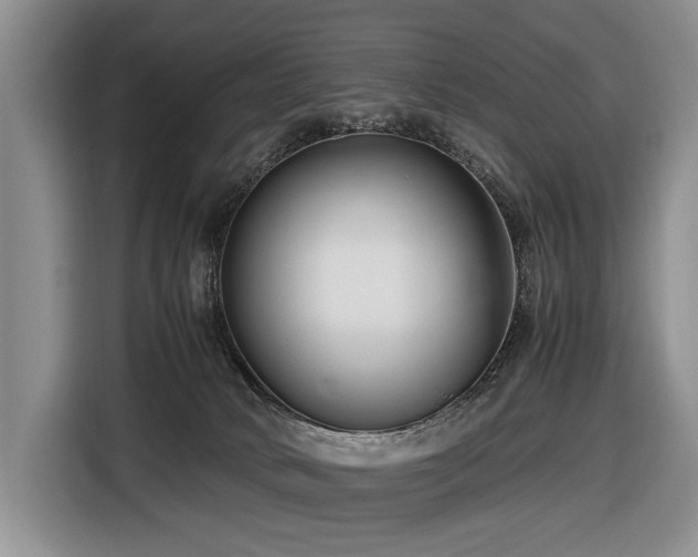 X0000116660034200912141329