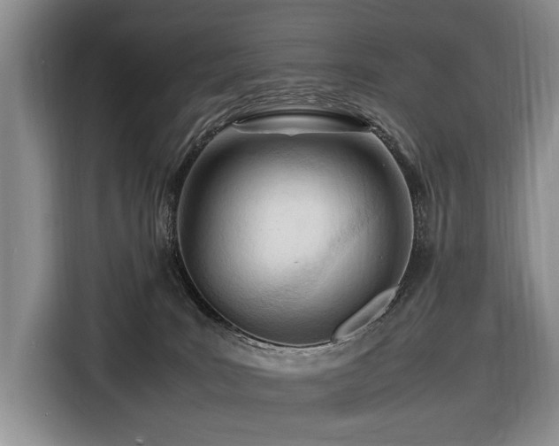 X0000116660035200912141329