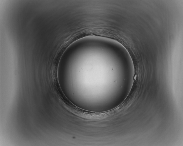 X0000116660036200912141329