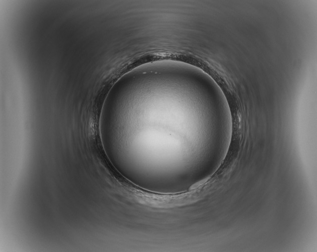 X0000116660039200912141329