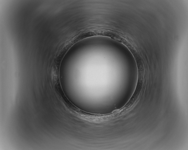 X0000116660040200912141329