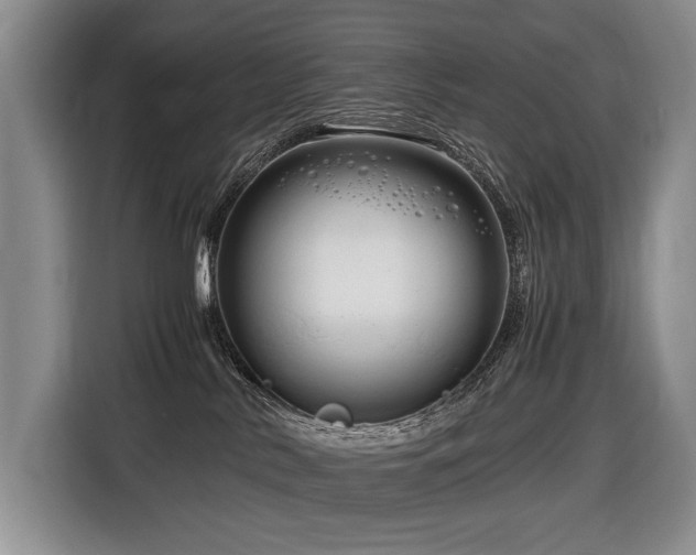 X0000116660042200912141329