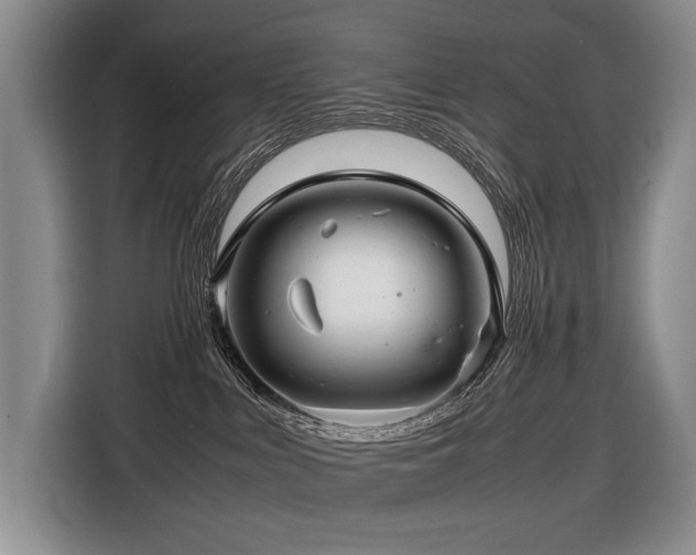 X0000116660043200912141329