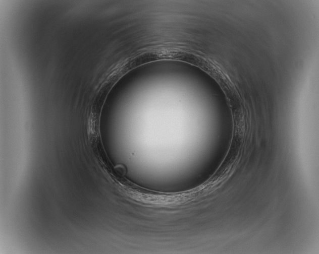 X0000116660044200912141329