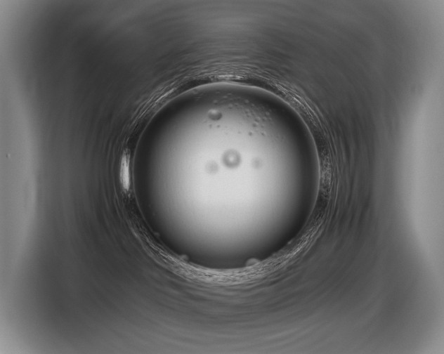 X0000116660046200912141329