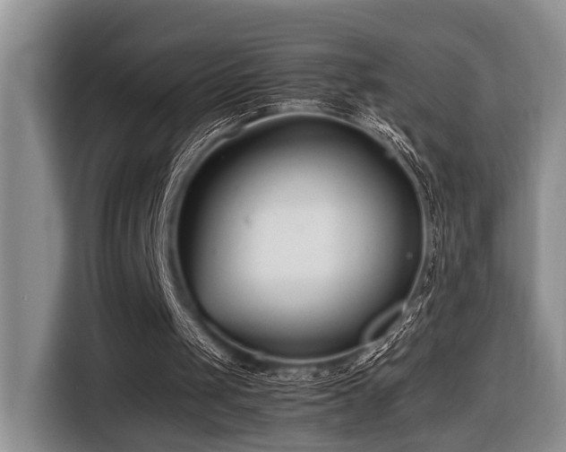 X0000116660049200912141328