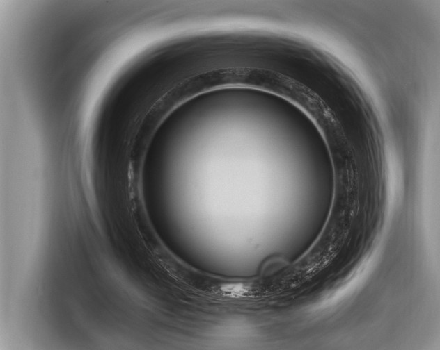 X0000116660050200912141328