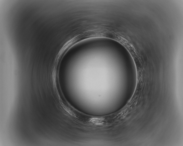 X0000116660051200912141328