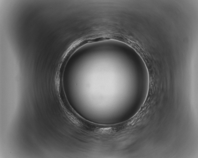 X0000116660054200912141329