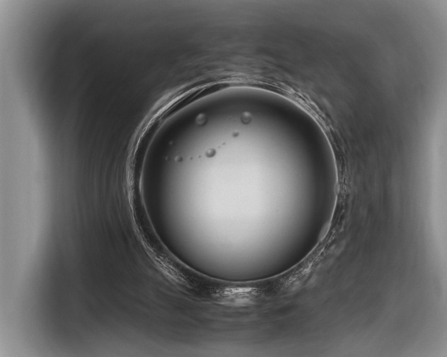 X0000116660055200912141329