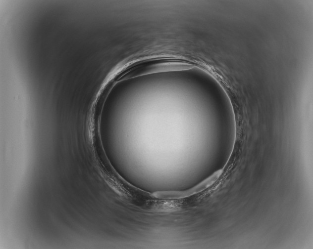 X0000116660056200912141329