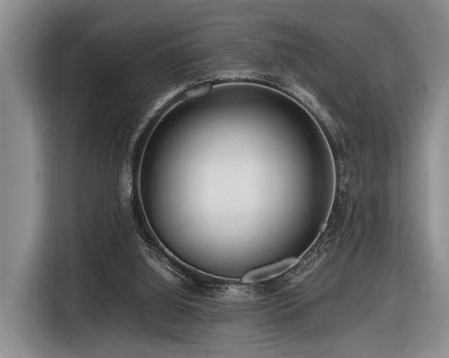 X0000116660060200912141329