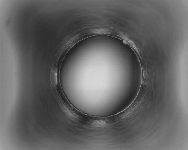 X0000116660061200912141329