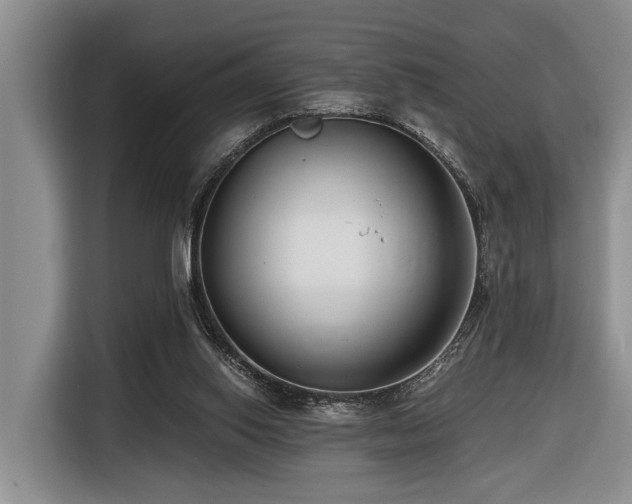 X0000116660062200912141329