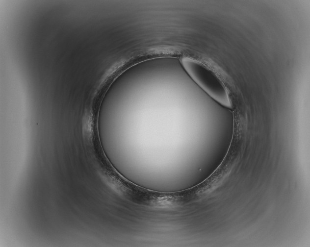 X0000116660064200912141329