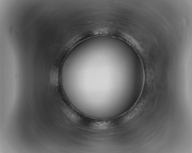 X0000116660065200912141329