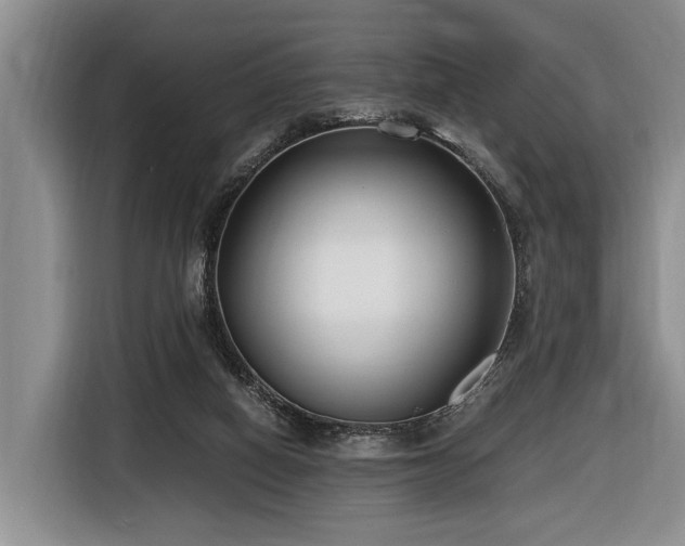 X0000116660066200912141329