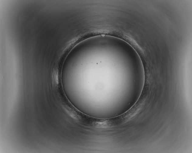 X0000116660068200912141329