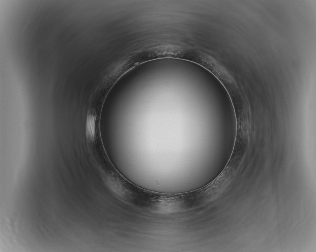 X0000116660070200912141329