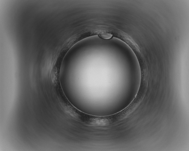 X0000116660073200912141329