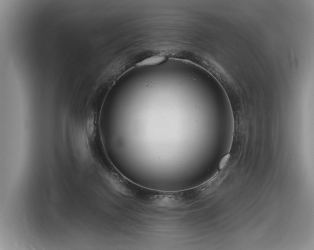 X0000116660074200912141329