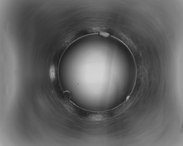 X0000116660075200912141329