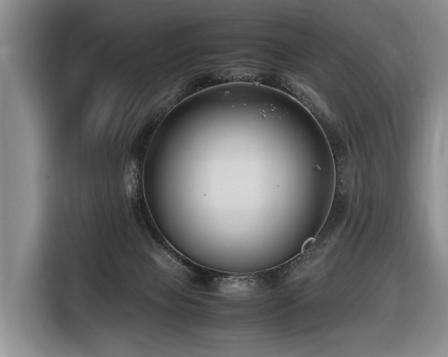 X0000116660077200912141329