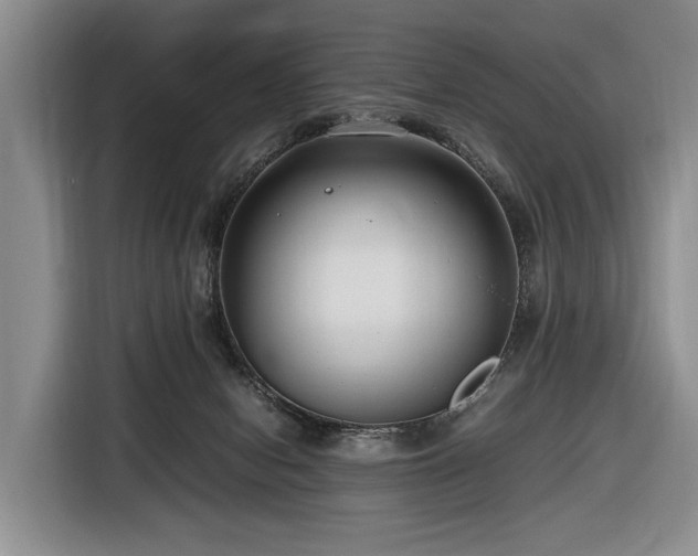 X0000116660078200912141329