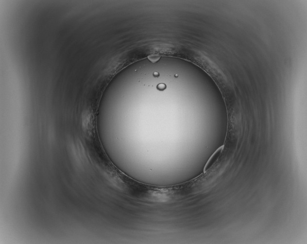 X0000116660079200912141329