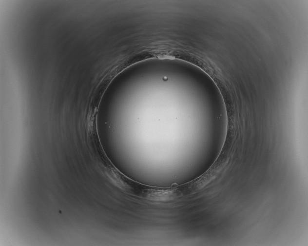 X0000116660081200912141329