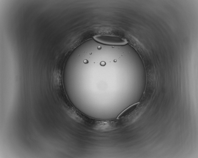 X0000116660083200912141329