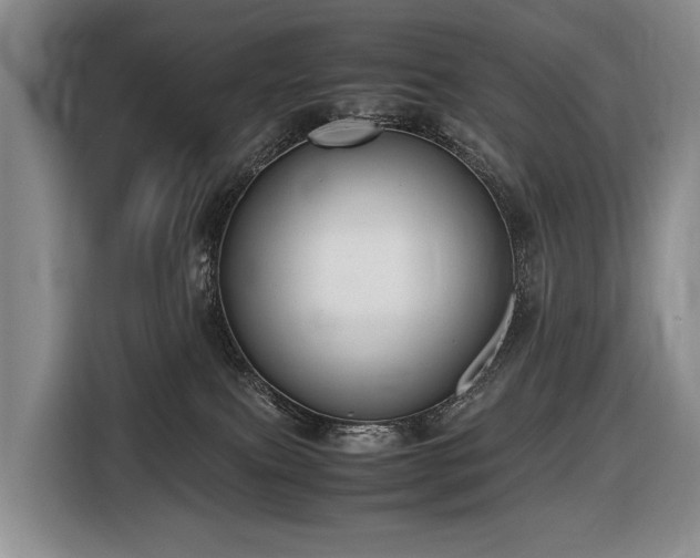 X0000116660087200912141329