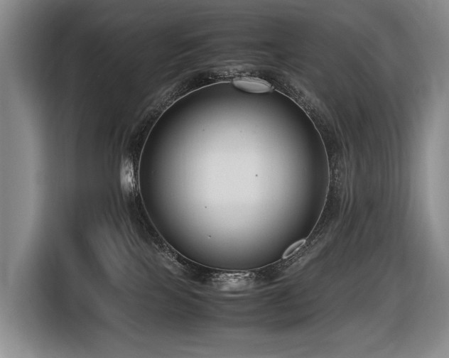 X0000116660089200912141329