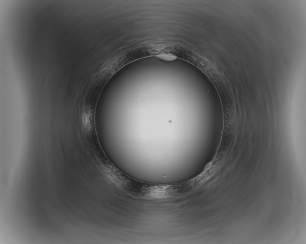 X0000116660090200912141329