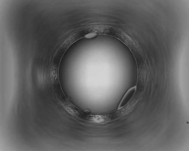 X0000116660091200912141329