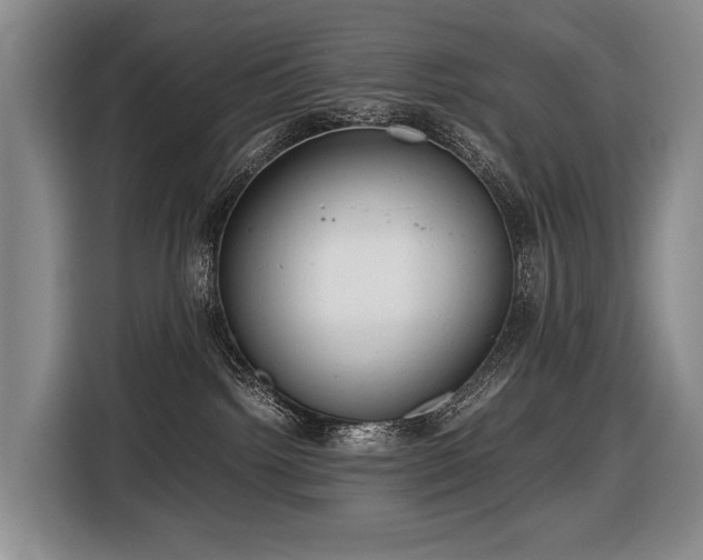 X0000116660092200912141329