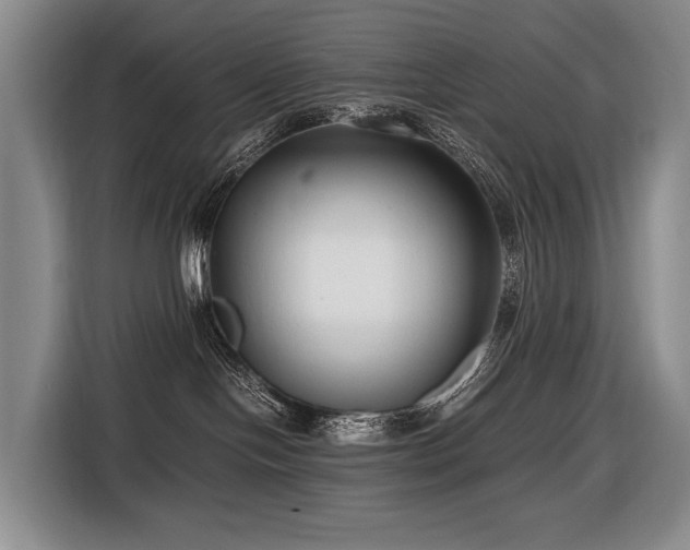 X0000116660094200912141329