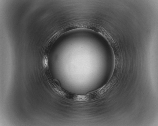 X0000116660095200912141329