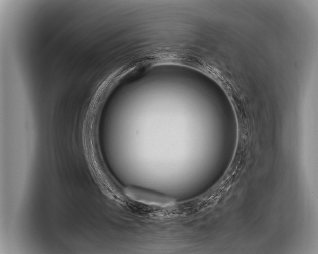 X0000116660097200912141328