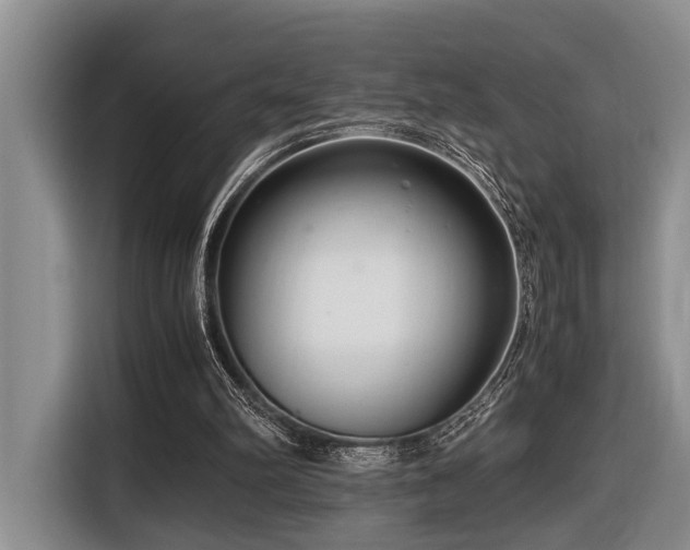 X0000116660102200912141328