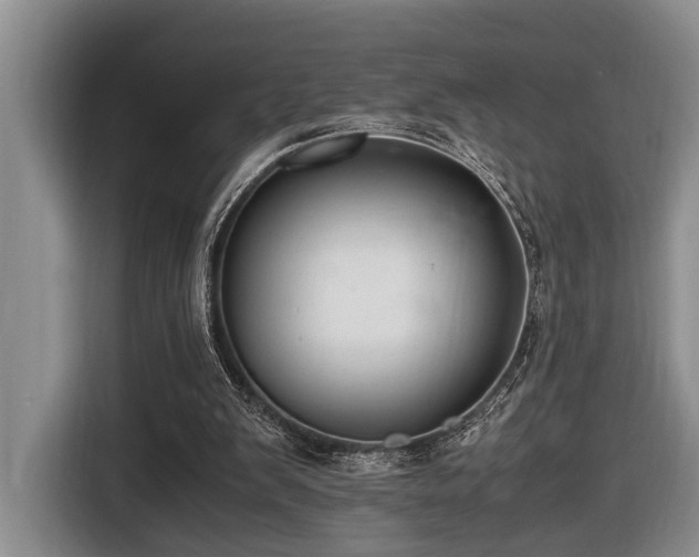 X0000116660103200912141328