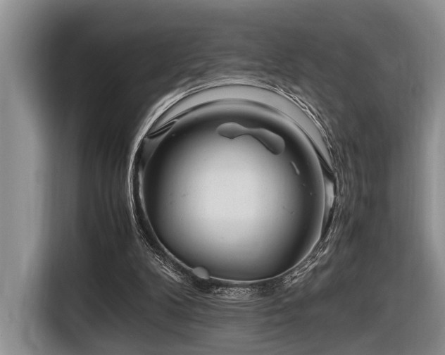 X0000116660104200912141328