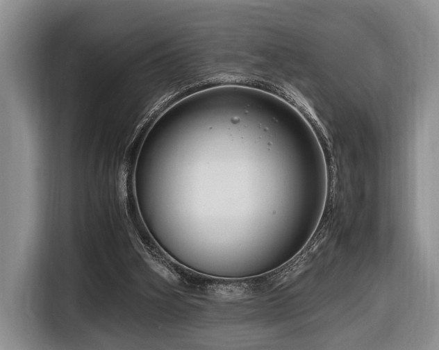 X0000116660106200912141328