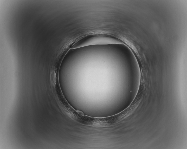 X0000116660109200912141328