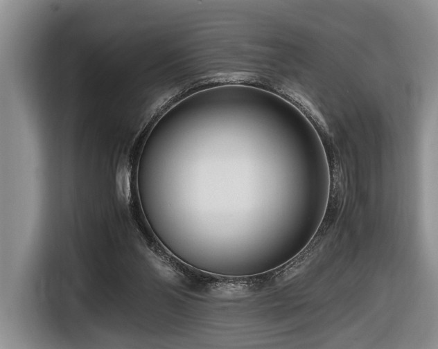 X0000116660110200912141328